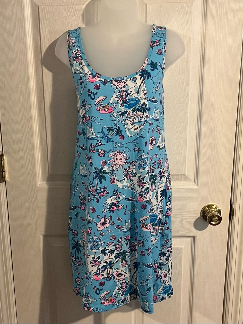 Lilly Pulitzer Florida Dress